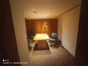 professional wall paint